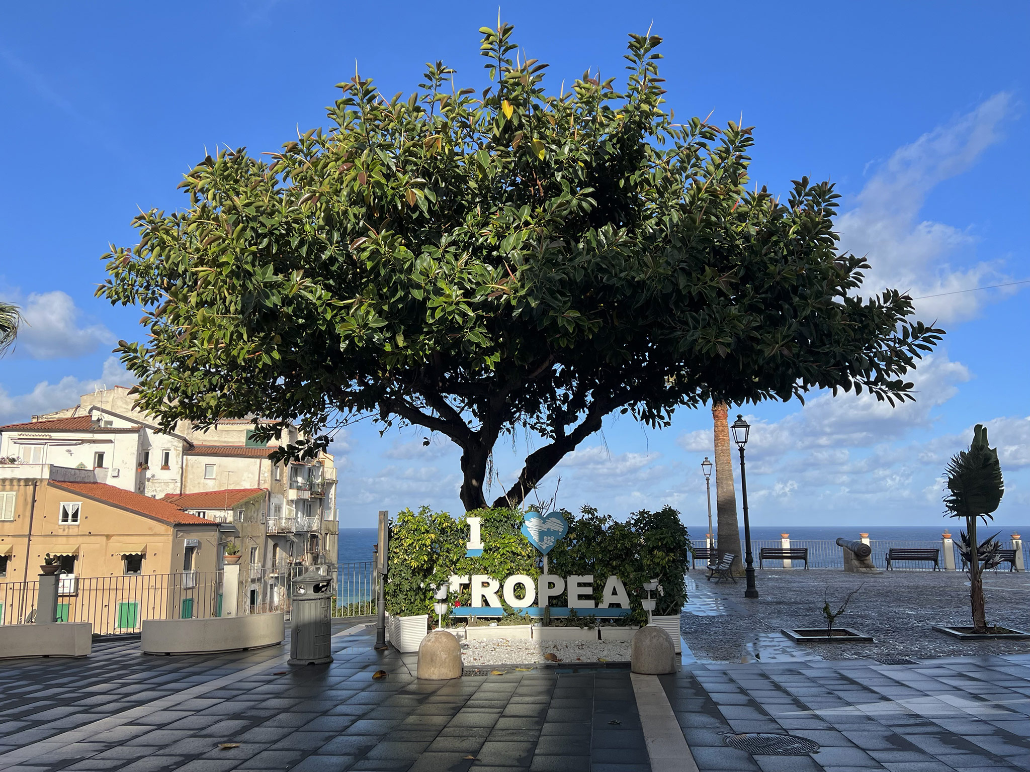 Tropea
